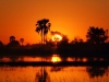 afrika-700x386_0