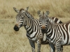 image019-500x379_0