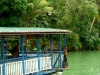 cebu bohol