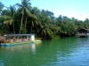 cebu bohol