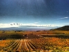 rioja