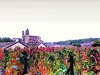 rioja10