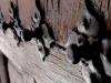 image01021-620x310