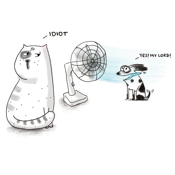 09