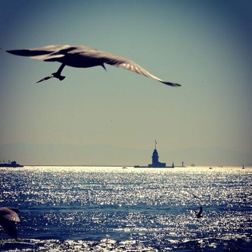 mehmetsertistanbul10