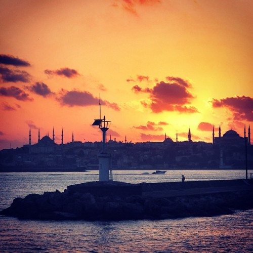 mehmetsertistanbul11