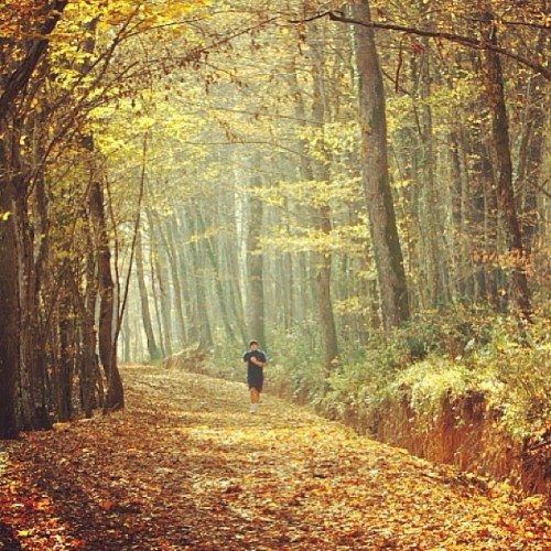 mehmetsertistanbul18