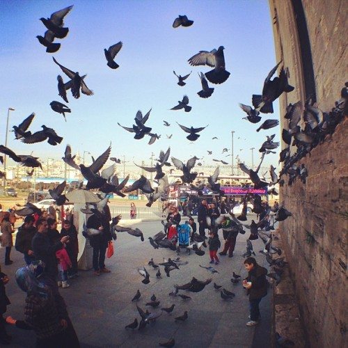 mehmetsertistanbul19