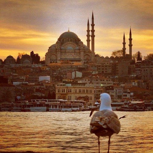 mehmetsertistanbul24