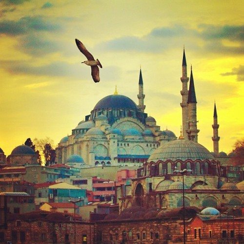 mehmetsertistanbul27