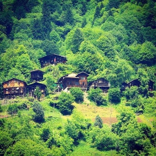 mehmetsertkaradeniz3