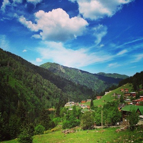 mehmetsertrizeayderyaylasi