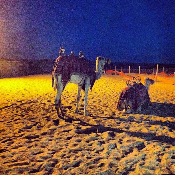 dubai-desertsafaricamp