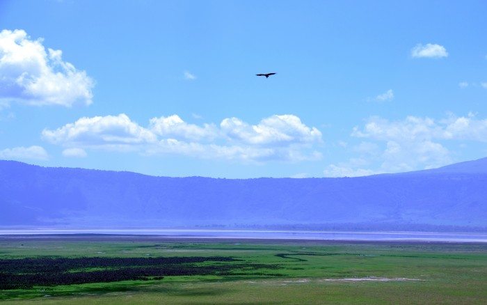 DSC_0103