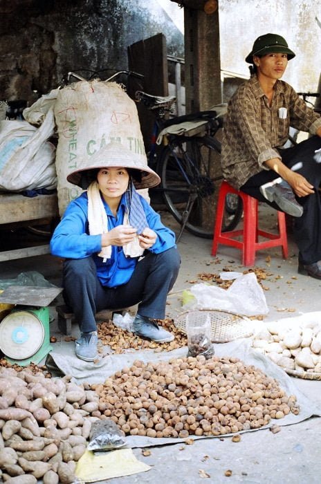 vietnam - alp boneval
