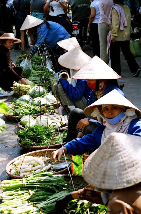 vietnam3 - alp boneval