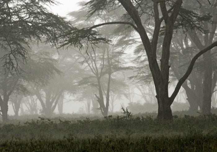 Nakuru 01