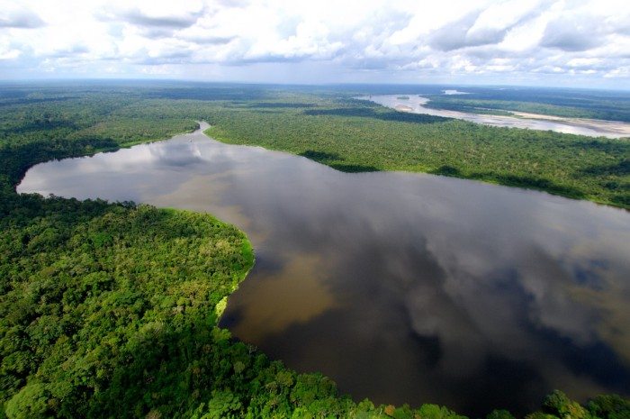 Amazonia_ecuador (2)