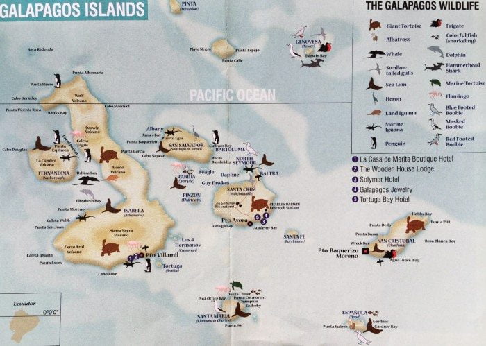 GALAPAGOS CANLI HARITASI